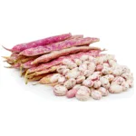 Erzincan Barbunyası - Görsel 2