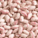 Erzincan Barbunyası - Görsel 3