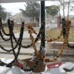 Erzincan Şeftali Saruç - Görsel 2