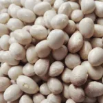 İspir Fasulyesi - Görsel 2