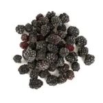 Kara Dut Kurusu - Görsel 2