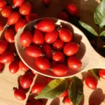 Kuşburnu Marmelatı - Görsel 4